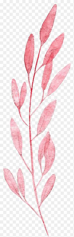 Flower Poetry, Cactus Png, Pink Drawing, Autumn Leaf Color, Tree Watercolor Painting, Pink Abstract Painting, Cactus Planta