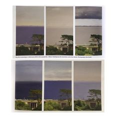 four different photographs of trees and the ocean