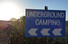 there is a blue sign that says underground camping in front of some cacti