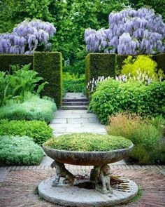 an image of a garden with purple flowers