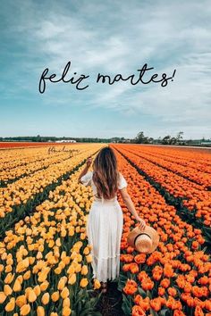 a woman in a white dress and hat walking through a field of orange tulips