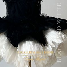 a black and white dress with feathers on the skirt is displayed in front of a wall