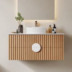 a bathroom vanity with a mirror above it and a plant on the counter next to it