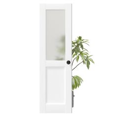 a white door with a plant in it