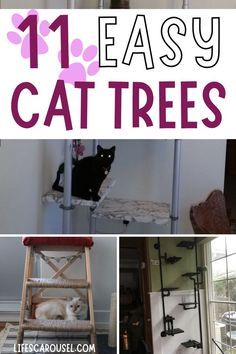 there are pictures of cat trees in this collage with text overlay that reads 11 easy cat trees