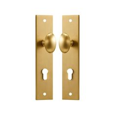 an image of two golden door handles