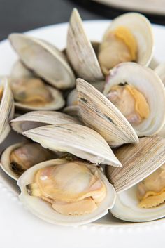 a white plate topped with clams on top of a table