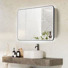 a bathroom sink sitting under a mirror next to a wall mounted faucet with a plant in it