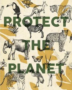 the cover of protect the planet with animals and birds