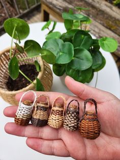 a hand holding five miniature baskets in front of a potted plant