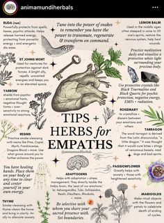 Herbs Of Leo, Transmutation Herbs, Apothecary For Beginners, Herbs In Witchcraft, Herb Knowledge, Beauty Herbs, Herbs For Women, Rauch Tricks