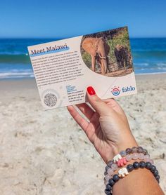 a person holding up a book with an elephant in the background on a sandy beach