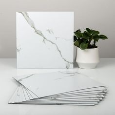 a stack of white marble cards next to a potted plant on a counter top