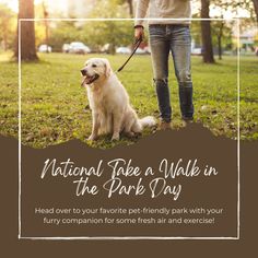 a man walking his dog in the park with text national take a walk in the park day head over to your favorite pet - friendly park with your furry companion for some fresh air and