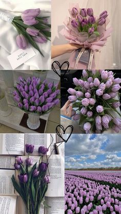 purple tulips are arranged in four different pictures