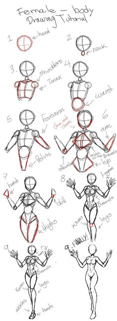 How to draw body - Dibujos de Cuerpos Humanos Reales paso a paso Step By Step Body Tutorial, Drawing Body Guidelines, Manga Proportions Body Tutorial, Human Atonomy Drawing Sketch, Atonomy Drawing Human Poses, Upper Body Tutorial Drawing, Face Drawing Studies, Female Proportions Drawing, Body Antonym Drawing