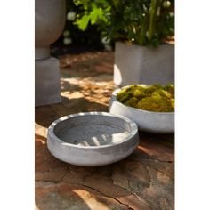 two cement bowls with moss growing in them