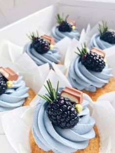 cupcakes with blue icing and blackberries on top in a white box