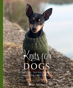 a small dog wearing a sweater with the words knits for dogs