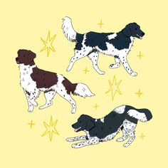 three black and white dogs with stars in the background on a yellow background, one is running