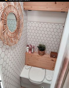 a bathroom with a toilet, mirror and plant on the shelf in front of it