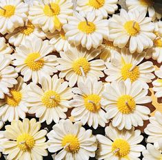 some white and yellow flowers are laying on the ground