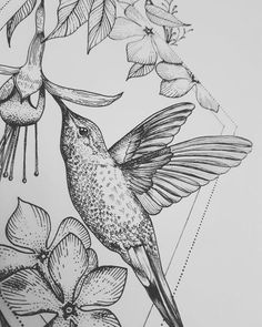 a black and white drawing of a hummingbird in flight with flowers on the side