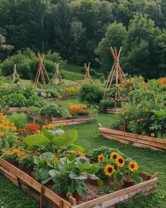 a garden filled with lots of different types of flowers and plants in wooden boxes on the grass