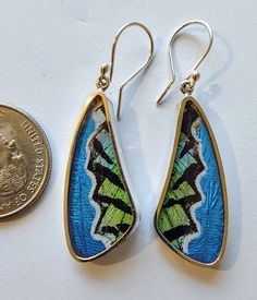 Butterfly earrings, real butterfly wing jewelry, real butterflies in jewelry, butterfly wings in jewelry, butterfly wing jewelry Real Butterfly Wing Jewelry, Real Butterflies, Art Butterflies, Butterfly Wing Jewelry, Jewelry Butterfly, Butterfly Artwork, Real Butterfly Wings, Earrings Real, Real Butterfly