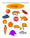 an orange is surrounded by many different things to see in the picture, including carrots and other items