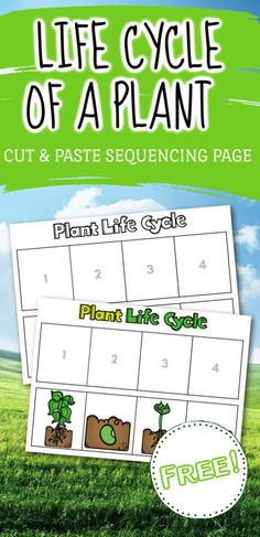 the life cycle of a plant cut and paste sequence