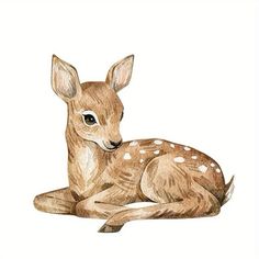 a drawing of a deer laying down on the ground