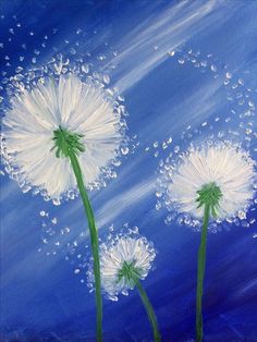 three white dandelions on a blue background with drops of water in the air