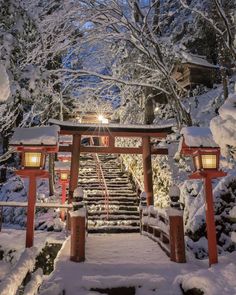 a snowy path leading to a shrine with lanterns on it's steps and trees in the background