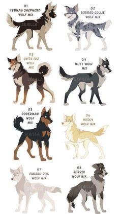 the different types of dogs that are in each color