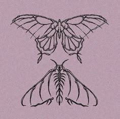 a drawing of two butterflies on a pink background with black lines in the shape of wings