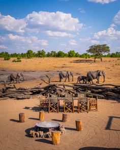 elephants are walking around in the distance with wooden tables and chairs set up near them