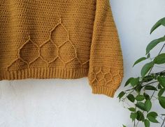 an orange sweater hanging on the wall next to a potted plant with green leaves