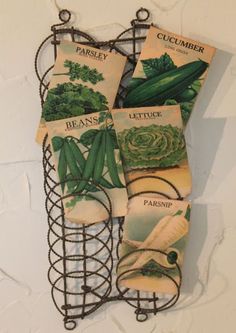 several seed packets are hanging from a wire rack on the wall, with broccoli and lettuce in them