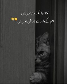 a cat peeks its head out from behind a door with the caption in arabic