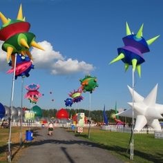 there are many kites flying in the air at this park and it looks like they're going to fly