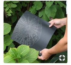 a person holding a piece of black paper with a spider web on it in front of green leaves