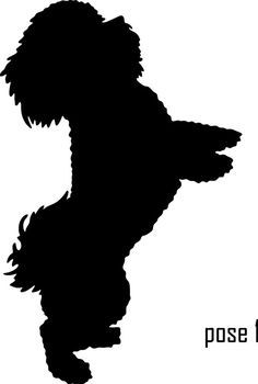 the silhouette of a dog jumping up into the air