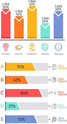 an info sheet with different types of data