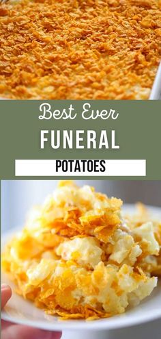 Funeral Potatoes…everyone has a recipe for this popular hash brown casserole! Here is my funeral potatoes recipe that I’ve been making for years and that has become a family favorite. Creamy, cheesy and onion-y. Perfect for any Sunday Supper, Christmas, Easter dinner, potluck or just because! Just as creamy as Scalloped Potatoes but made with half the effort! Dinner Potluck, Homemade Hashbrowns, Frozen Hashbrowns, Crushed Potatoes, Holiday Bread, Frozen Potatoes, Fast Dinner Recipes, Hashbrown Recipes, French Fried Onions