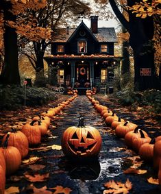 pumpkins are lined up in front of a house