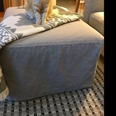 a cat sitting on top of a gray ottoman