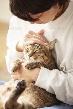 a woman petting a cat with her hands