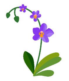 purple flowers with green leaves on a white background