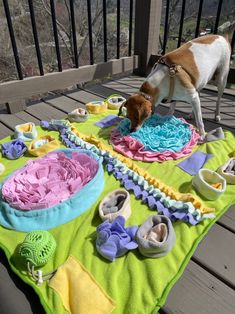 a small dog standing on top of a wooden deck next to a blanket covered in various items